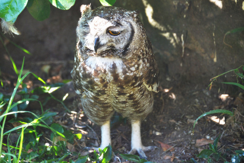 World of Birds Wildlife Sanctuary.